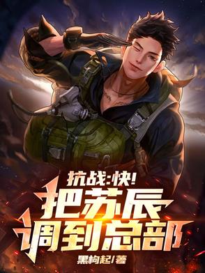 抗战小说主角苏阳