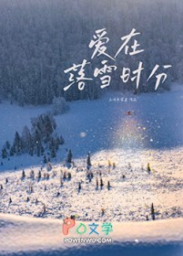 爱在落雪时分爱在落雪时分